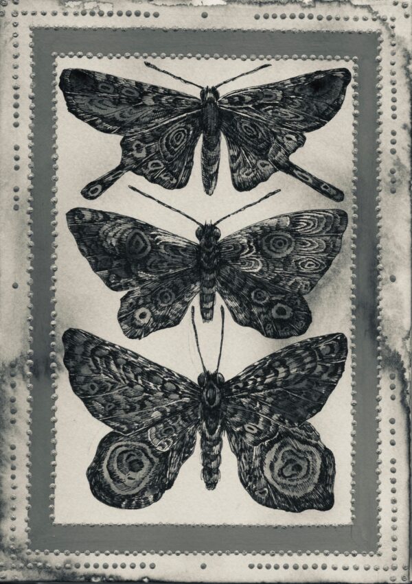 リブ付きロングTシャツ《specimen》 - 画像 (2)